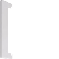 Hager Tehalit Placa con reborde Canal de pared - BR100WK9016