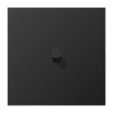 Elemento De Control/placa Central De Conmutación LS1912 De Jung - AL12-0DK01