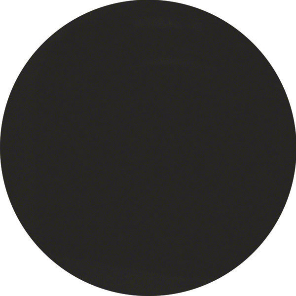 Hager Berker R.1/R.3 Elemento De Control/Conmutador De Placa Central - 11372045