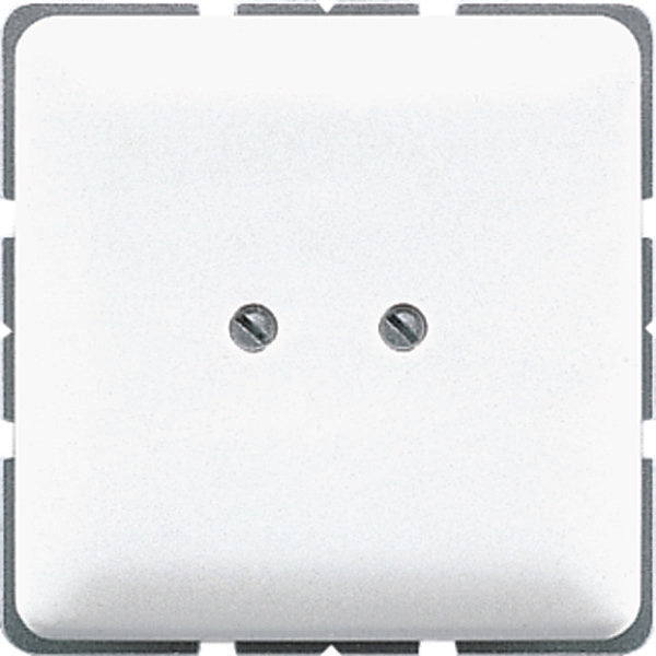 Elemento De Control/conmutador De Placa Central CD500 De Jung - CD561BWW