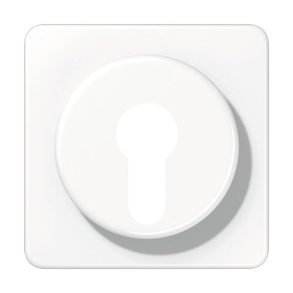Elemento De Control/conmutador De Placa Central CD500 De Jung - CD528WW