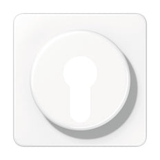 Elemento De Control/conmutador De Placa Central CD500 De Jung - CD528WW
