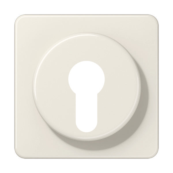 Elemento De Control/conmutador De Placa Central CD500 De Jung - 528