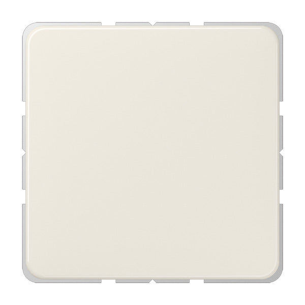Elemento De Control/conmutador De Placa Central CD500 De Jung - 594-0