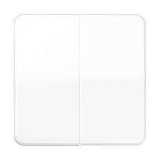 Elemento De Control/conmutador De Placa Central CD500 De Jung - CD595BFWW