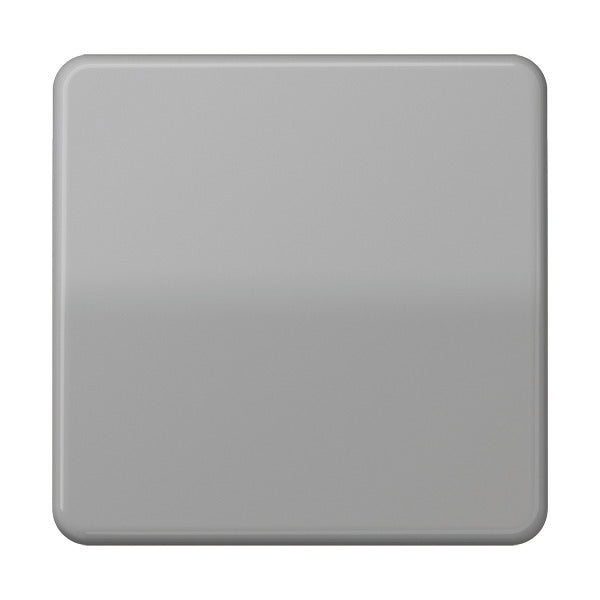 Elemento De Control/conmutador De Placa Central CD500 De Jung - CD590GR