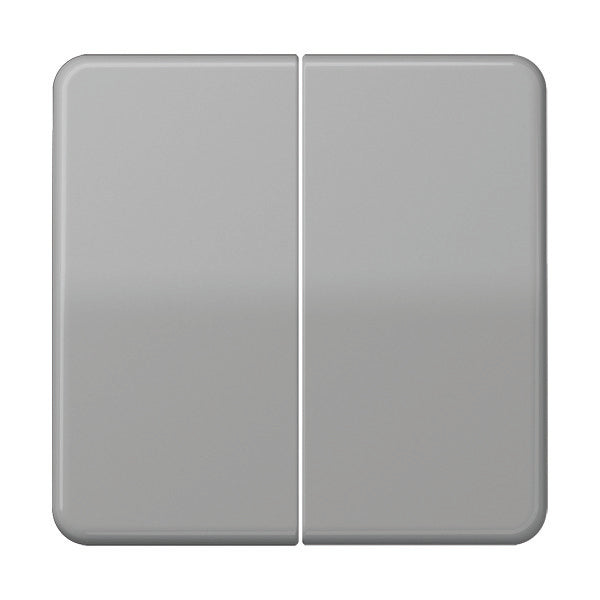 Elemento De Control/conmutador De Placa Central CD500 De Jung - CD595GR
