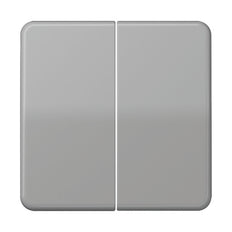 Elemento De Control/conmutador De Placa Central CD500 De Jung - CD595GR