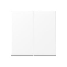 Elemento de control inteligente de la GAMA Jung A - A1702BFWWM