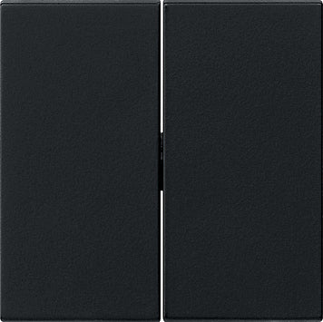 Gira Sistema 55 Elemento De Mando/Conmutador De Placa Central - 0295005