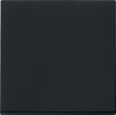 Gira Sistema 55 Elemento De Mando/Conmutador De Placa Central - 0296005