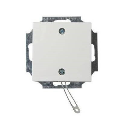 ABB Interruptor de instalación Busch-Jaeger - 2CKA009999A2610