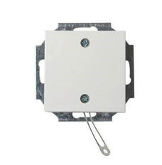 ABB Interruptor de instalación Busch-Jaeger - 2CKA009999A2610