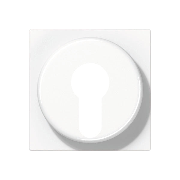 Elemento De Control/conmutador De Placa Central AS500 De Jung - A528PLWW