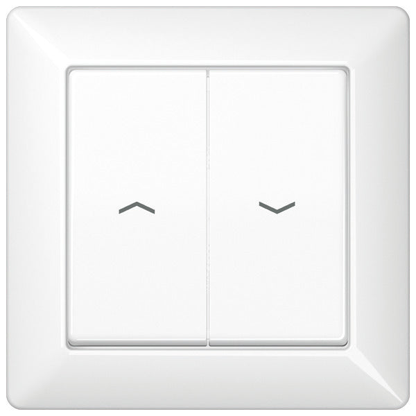 Elemento De Control/conmutador De Placa Central AS500 De Jung - AS590-5PWW