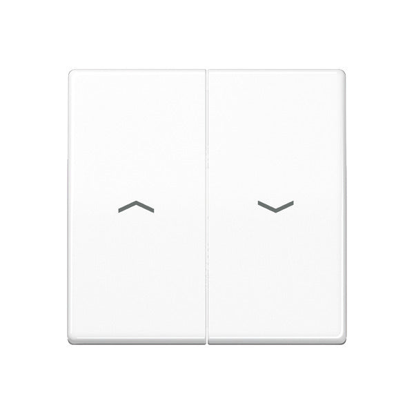 Elemento De Control/conmutador De Placa Central AS500 De Jung - AS591-5PWW