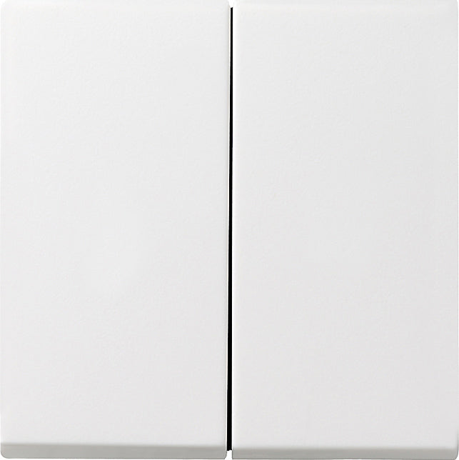 Gira Standard 55 Elemento De Mando/Conmutador De Placa Central - 026603