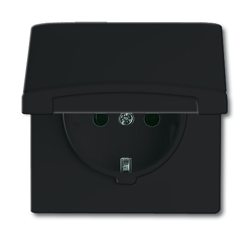 ABB Busch-Jaeger Enchufe De Pared Para Todo Tipo De Clima IP44 (Aparamenta WCD) - 2CKA002064A0290