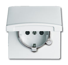 ABB Toma De Pared Busch-Jaeger (Aparamenta WCD) - 2CKA002064A0294