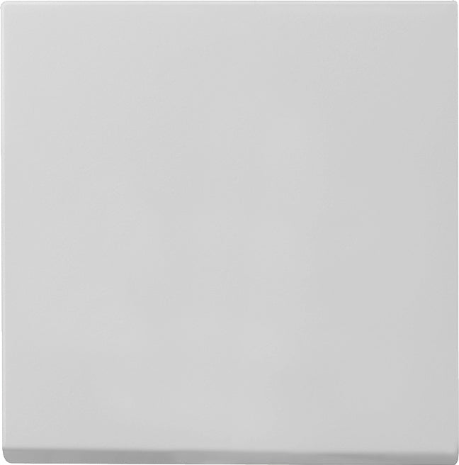 Gira Sistema 55 Elemento De Mando/Conmutador De Placa Central - 0296015