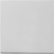 Gira Sistema 55 Elemento De Mando/Conmutador De Placa Central - 0296015