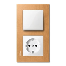Schneider Electric Sistema M Merten Elemento de Control/Conmutador de Placa Central - MTN432119 [2 Piezas]
