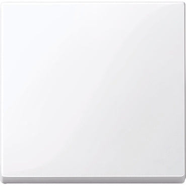 Schneider Electric Sistema M Merten Elemento de Control/Conmutador de Placa Central - MTN432125 [2 Piezas]