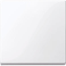 Schneider Electric Sistema M Merten Elemento de Control/Conmutador de Placa Central - MTN432125 [2 Piezas]
