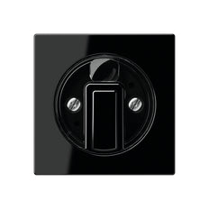 Elemento De Control Jung/Conmutador De Placa Central - A1541SW