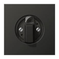 Elemento De Control Jung/Conmutador De Placa Central - AL1941AN