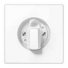 Elemento De Control/placa Central De Conmutación LS990 De Jung - LS1941WW