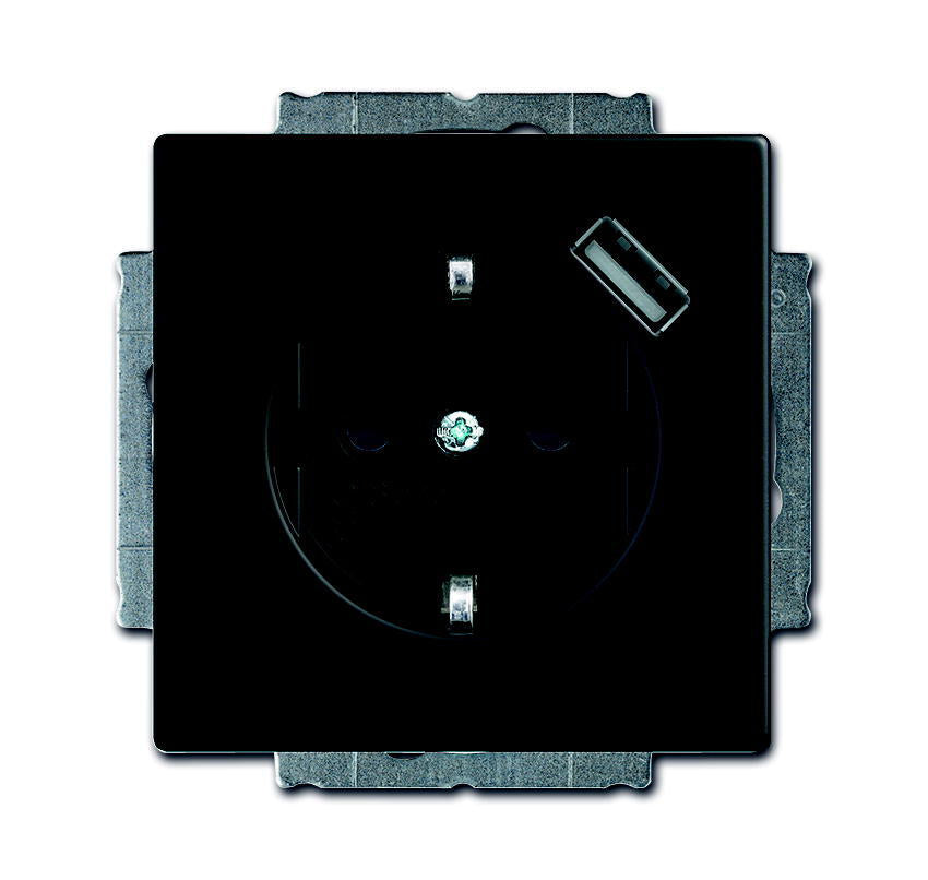 ABB Busch-Jaeger Futura Toma De Pared (Aparamenta WCD) - 2CKA002011A6165