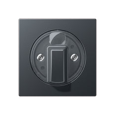 Elemento De Control Jung/Conmutador De Placa Central - A1541BFANM