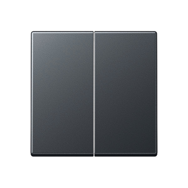 Elemento De Control Jung/Conmutador De Placa Central - A595BFANM