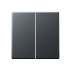 Elemento De Control Jung/Conmutador De Placa Central - A595BFANM