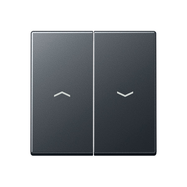 Elemento De Control Jung/Conmutador De Placa Central - A595BFPANM