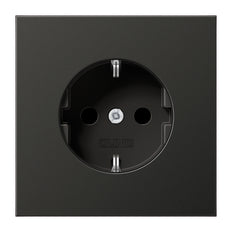 Toma De Pared De La GAMA LS De Jung (aparamenta WCD) - AL1520NAN