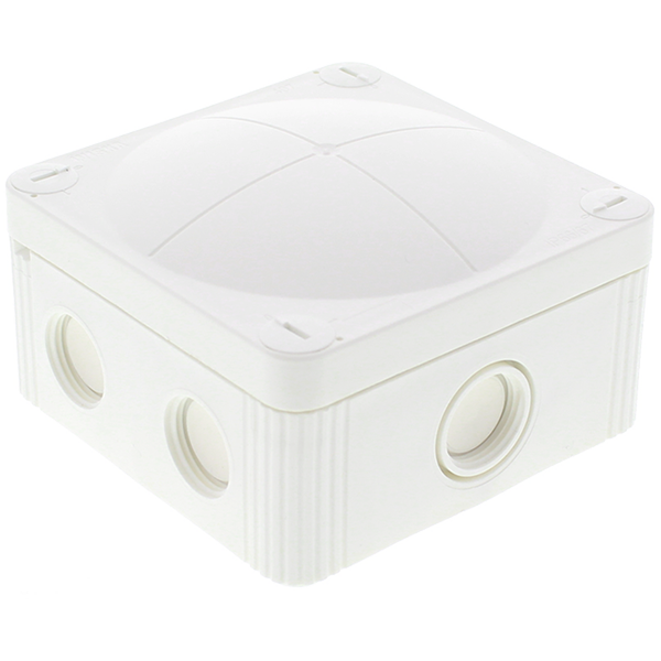 Wiska CombI Caja de pared/techo de superficie - 10105977 [2 Piezas]
