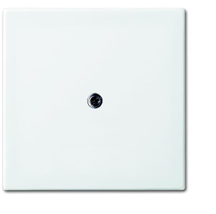 Placa de inserción ABB Busch-Jaeger Balance SI Switchgear - 2CKA001724A4338