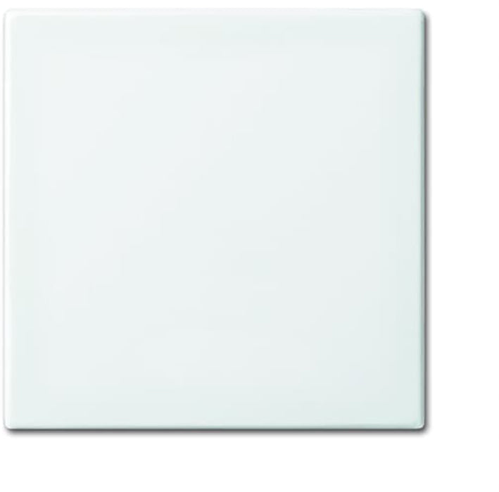 ABB Busch-Jaeger Balance SI Elemento de Control/Conmutador de Placa Central - 2CKA001731A2002 [2 Piezas]