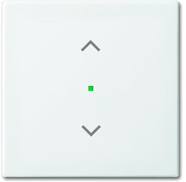 ABB Busch-Jaeger Busch-FreeAtHome Elemento de Control/Conmutador de Placa Central - 2CKA006220A0357 [2 Piezas]