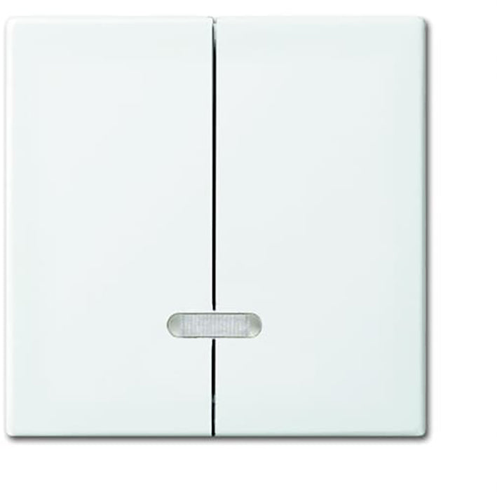 ABB Elemento De Control Busch-Jaeger/Conmutador De Placa Central - 2CKA006599A3019