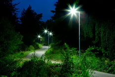 Philips TrueForce Core Lámpara LED - 75029900
