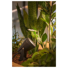 SLV Samrina Luminaria de jardín/sendero - 1004757