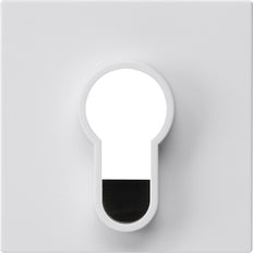 Gira System 55 Interruptor de llave con botón sin impresión Blanco - 866403