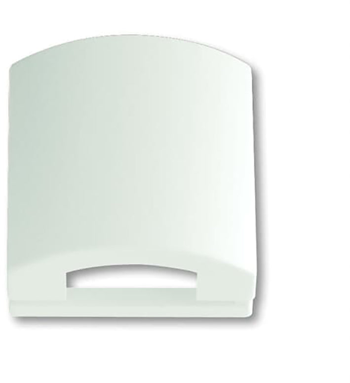 ABB Busch-Jaeger Placa de cubierta 50x50 en blanco mate - 2CKA001710A3876