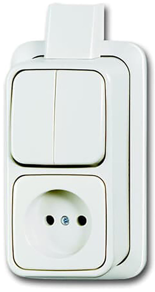 ABB Interruptor combinado Busch-Jaeger y toma de corriente - 2CKA001642A0161