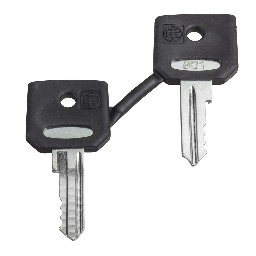 Schneider Electric Ronis 455 Juego De Llaves Con Botín Protector - ZBG455P