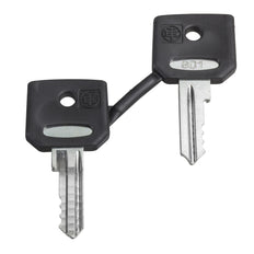 Schneider Electric Ronis 455 Juego De Llaves Con Botín Protector - ZBG455P
