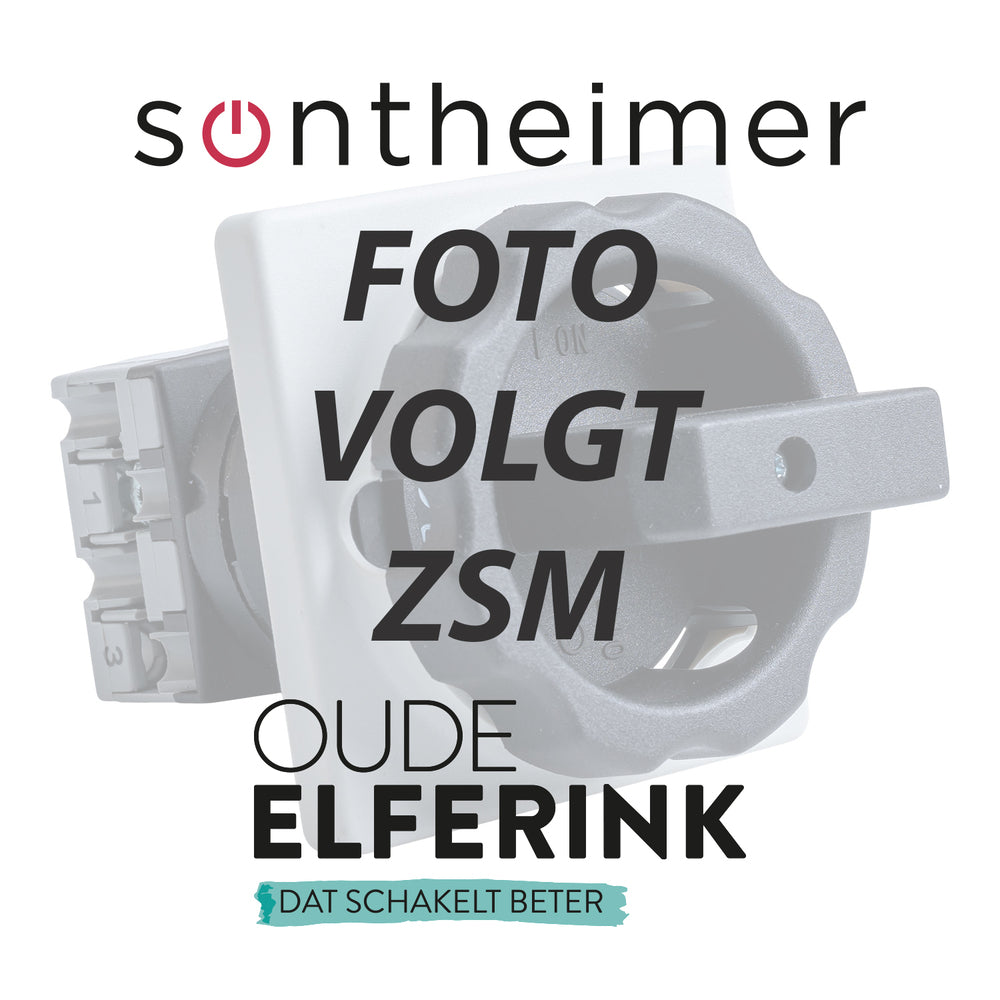 Sontheimer Interruptor Principal De 25A De 4 Polos Con Candado De Cilindro - A530096